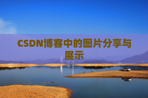 CSDN博客中的图片分享与展示